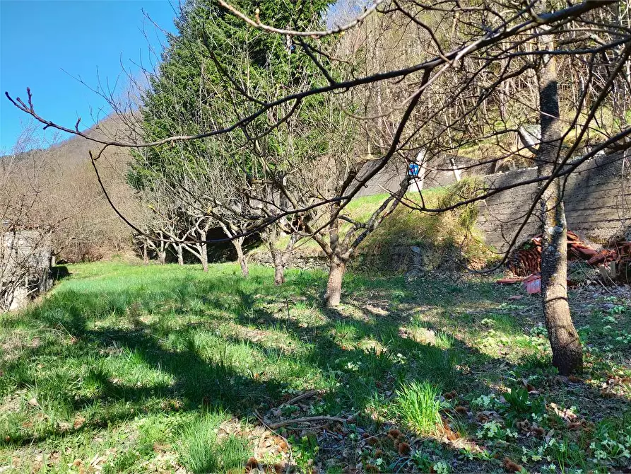 Immagine 113 di Rustico / casale in vendita  in Frazione Ponte di Nava Località Figalli a Ormea