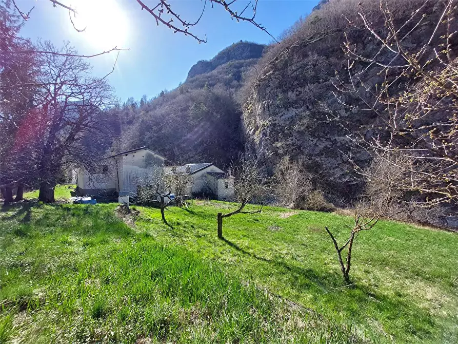 Immagine 3 di Rustico / casale in vendita  in Frazione Ponte di Nava Località Figalli a Ormea