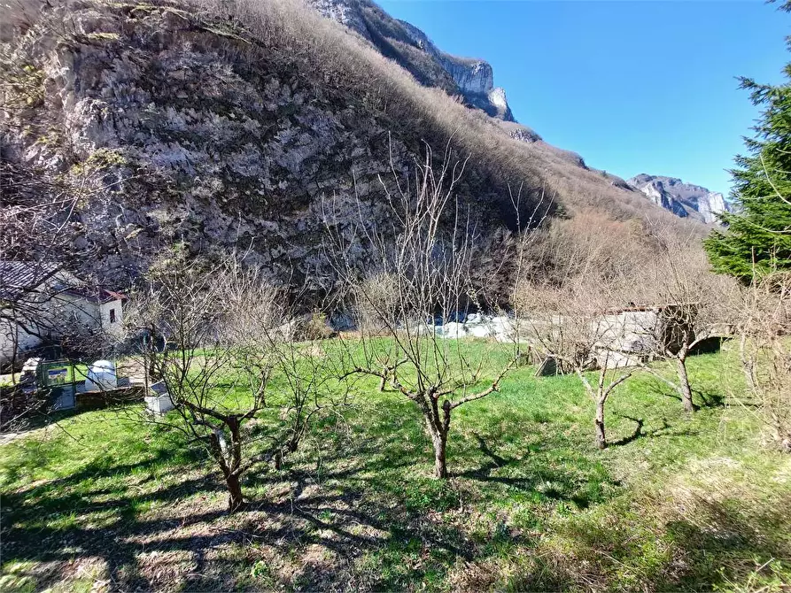 Immagine 110 di Rustico / casale in vendita  in Frazione Ponte di Nava Località Figalli a Ormea