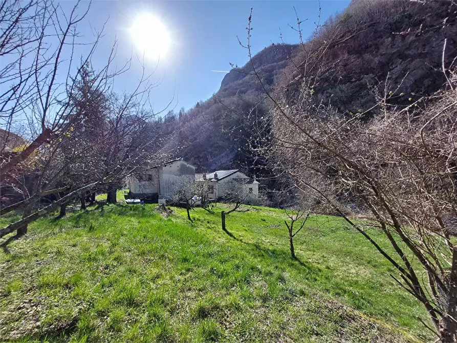 Immagine 107 di Rustico / casale in vendita  in Frazione Ponte di Nava Località Figalli a Ormea