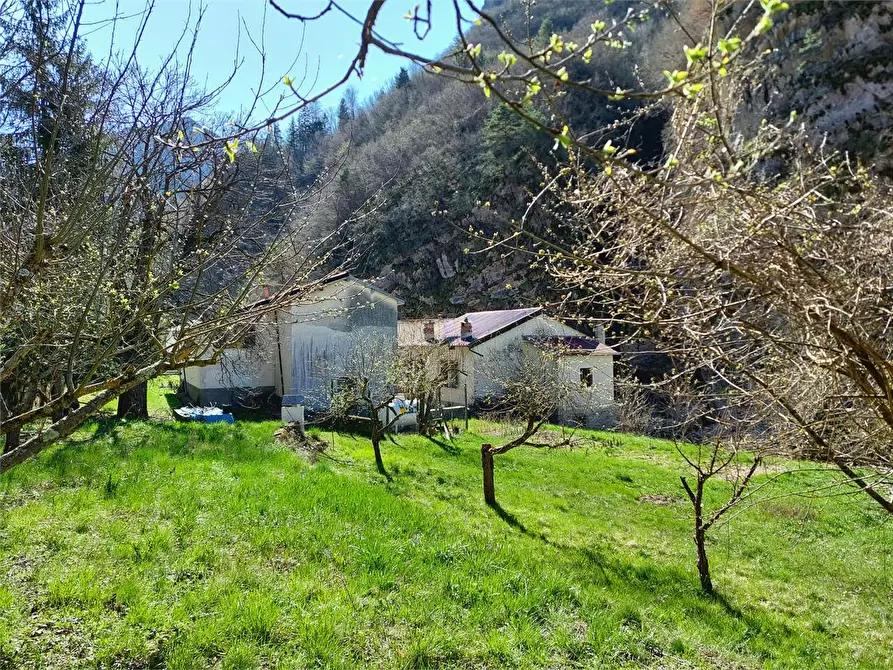Immagine 109 di Rustico / casale in vendita  in Frazione Ponte di Nava Località Figalli a Ormea