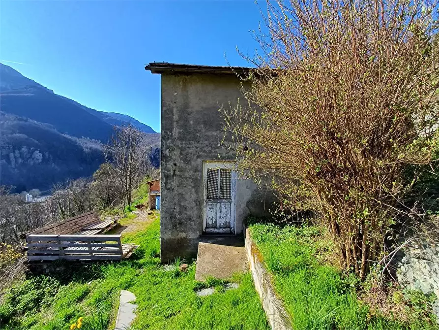 Immagine 1 di Rustico / casale in vendita  in Via Castello s.n.c. a Ormea