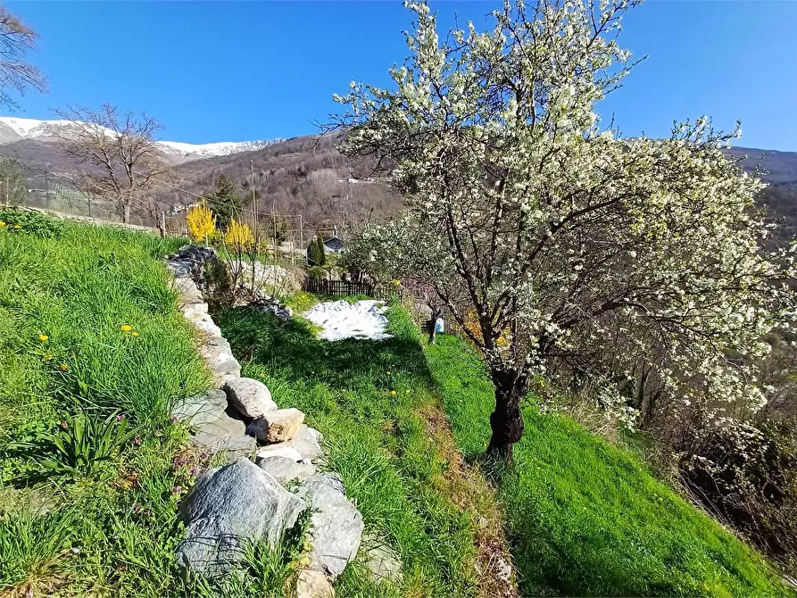 Immagine 42 di Rustico / casale in vendita  in Via Castello s.n.c. a Ormea