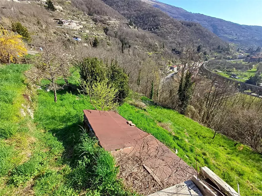 Immagine 12 di Rustico / casale in vendita  in Via Castello s.n.c. a Ormea