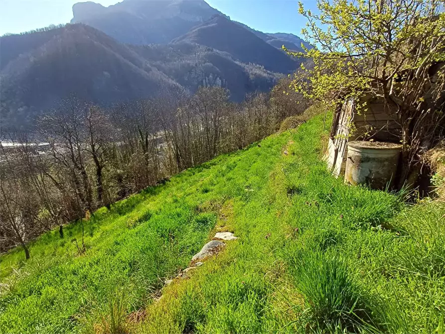 Immagine 13 di Rustico / casale in vendita  in Via Castello s.n.c. a Ormea