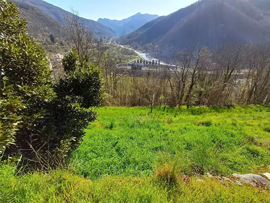 Immagine 14 di Rustico / casale in vendita  in Via Castello s.n.c. a Ormea