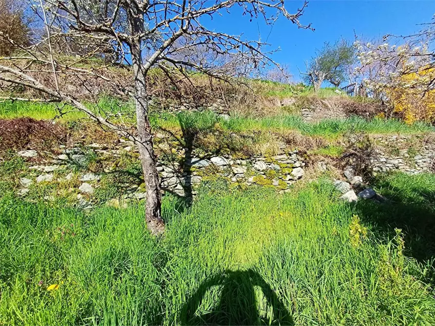 Immagine 10 di Rustico / casale in vendita  in Via Castello s.n.c. a Ormea