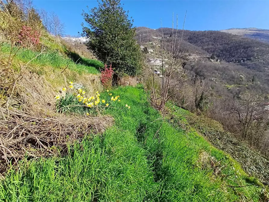 Immagine 15 di Rustico / casale in vendita  in Via Castello s.n.c. a Ormea