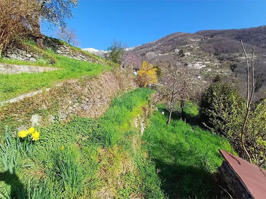 Immagine 16 di Rustico / casale in vendita  in Via Castello s.n.c. a Ormea