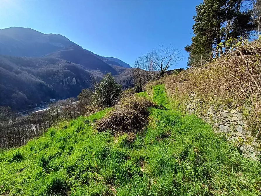 Immagine 17 di Rustico / casale in vendita  in Via Castello s.n.c. a Ormea