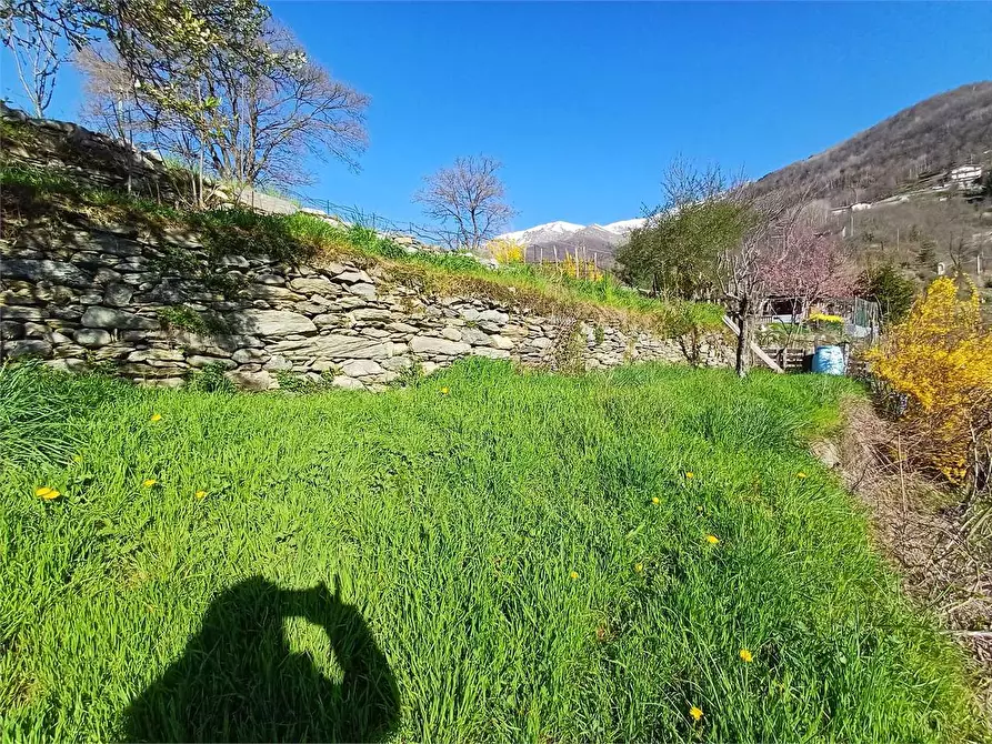 Immagine 9 di Rustico / casale in vendita  in Via Castello s.n.c. a Ormea