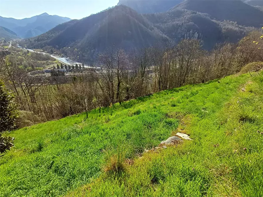 Immagine 18 di Rustico / casale in vendita  in Via Castello s.n.c. a Ormea