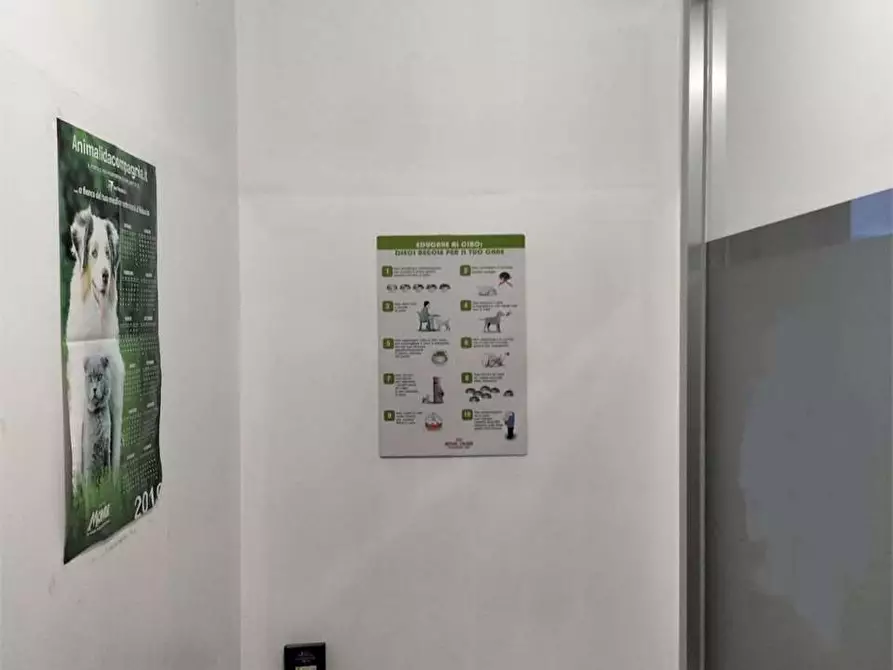 Immagine 2 di Negozio in vendita  in Via Valcasotto a Garessio