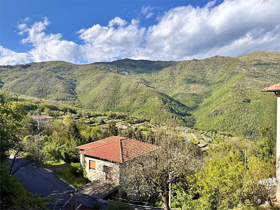 Immagine 18 di Casa indipendente in vendita  in Via Attilio Ventimiglia 17 a Borgomaro