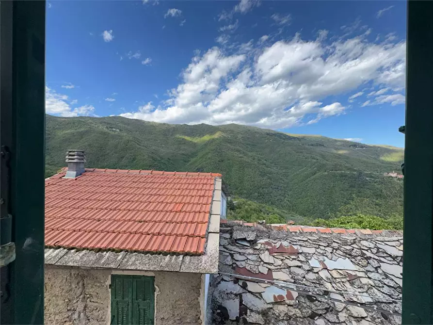 Immagine 16 di Casa indipendente in vendita  in Via Attilio Ventimiglia 17 a Borgomaro