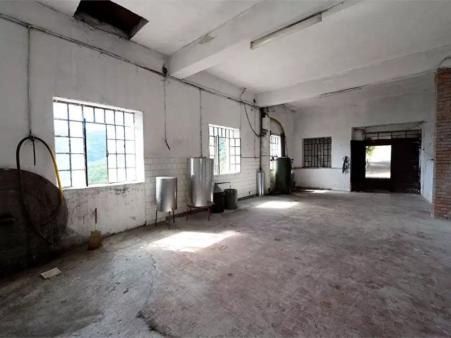 Immagine 33 di Casa indipendente in vendita  in Strada Provinciale 25 1 a Borgomaro