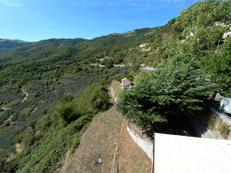 Immagine 37 di Casa indipendente in vendita  in Strada Provinciale 25 1 a Borgomaro