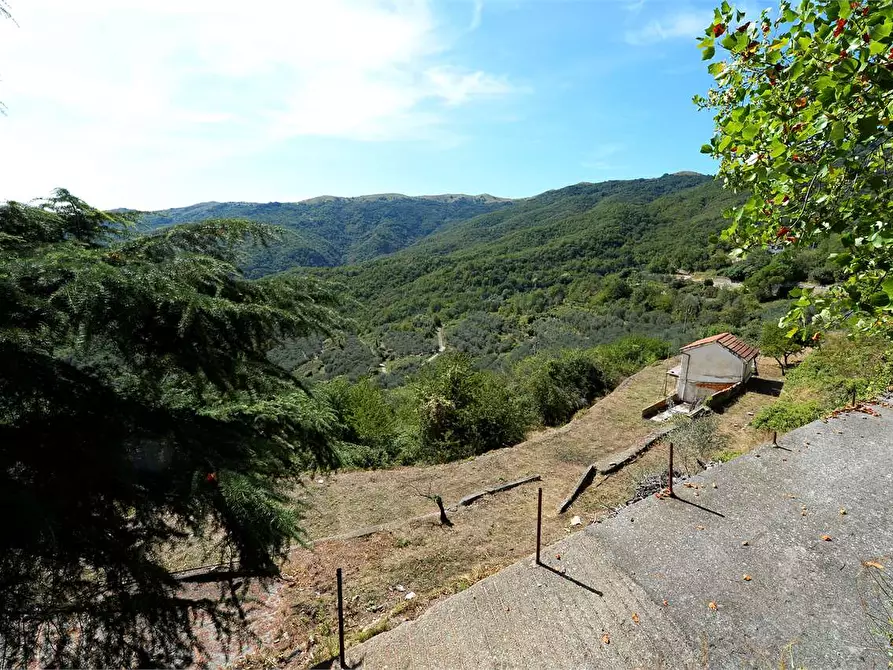 Immagine 36 di Casa indipendente in vendita  in Strada Provinciale 25 1 a Borgomaro