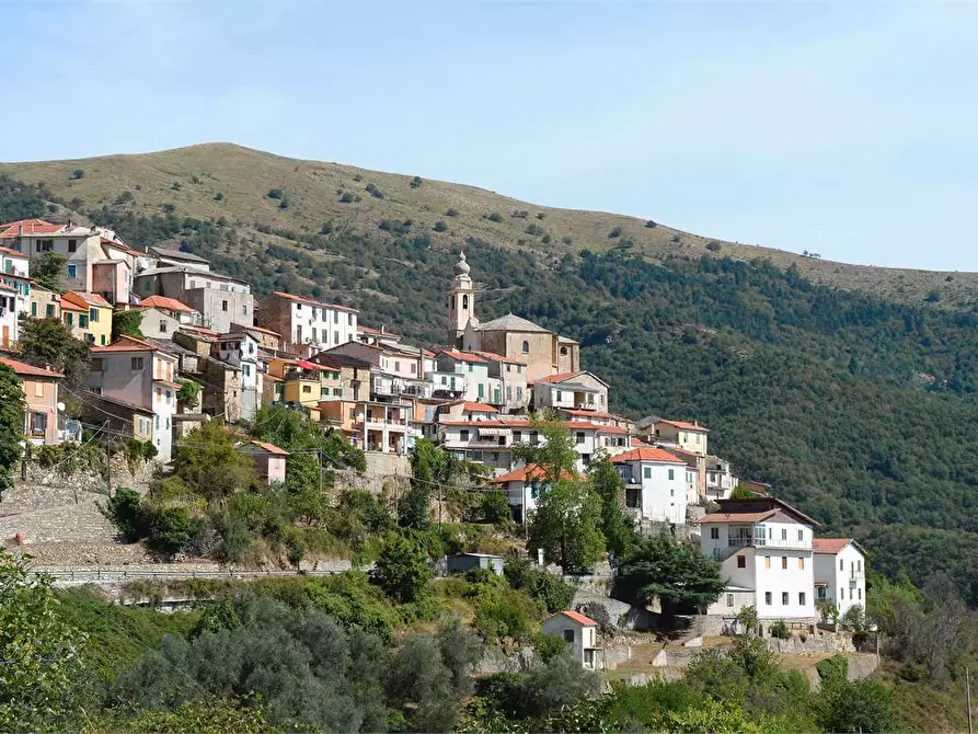 Immagine 43 di Casa indipendente in vendita  in Strada Provinciale 25 1 a Borgomaro