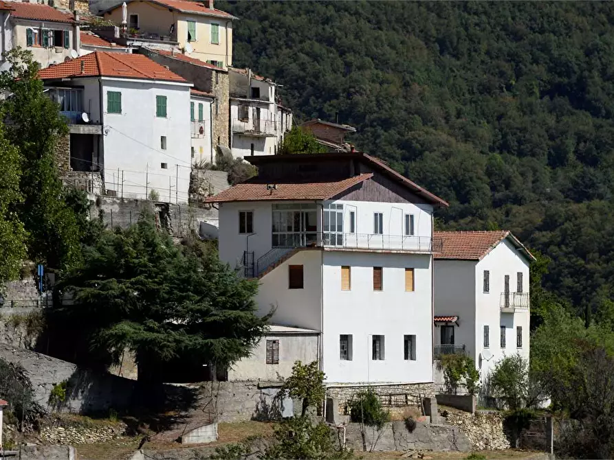 Immagine 42 di Casa indipendente in vendita  in Strada Provinciale 25 1 a Borgomaro