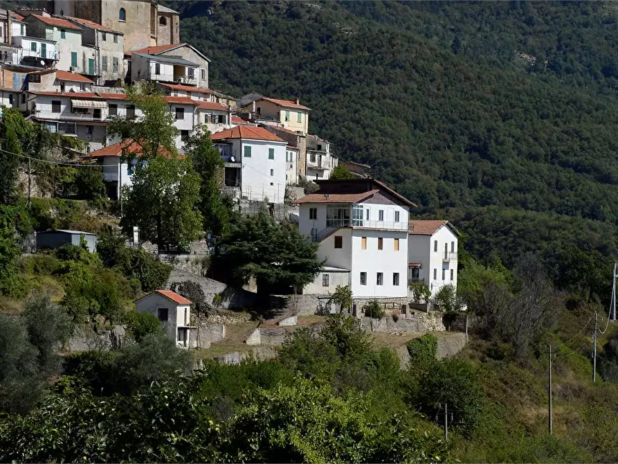 Immagine 41 di Casa indipendente in vendita  in Strada Provinciale 25 1 a Borgomaro
