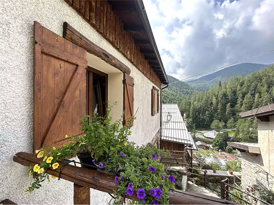 Immagine 39 di Casa indipendente in vendita  in Via XXV Aprile 8 a Briga Alta