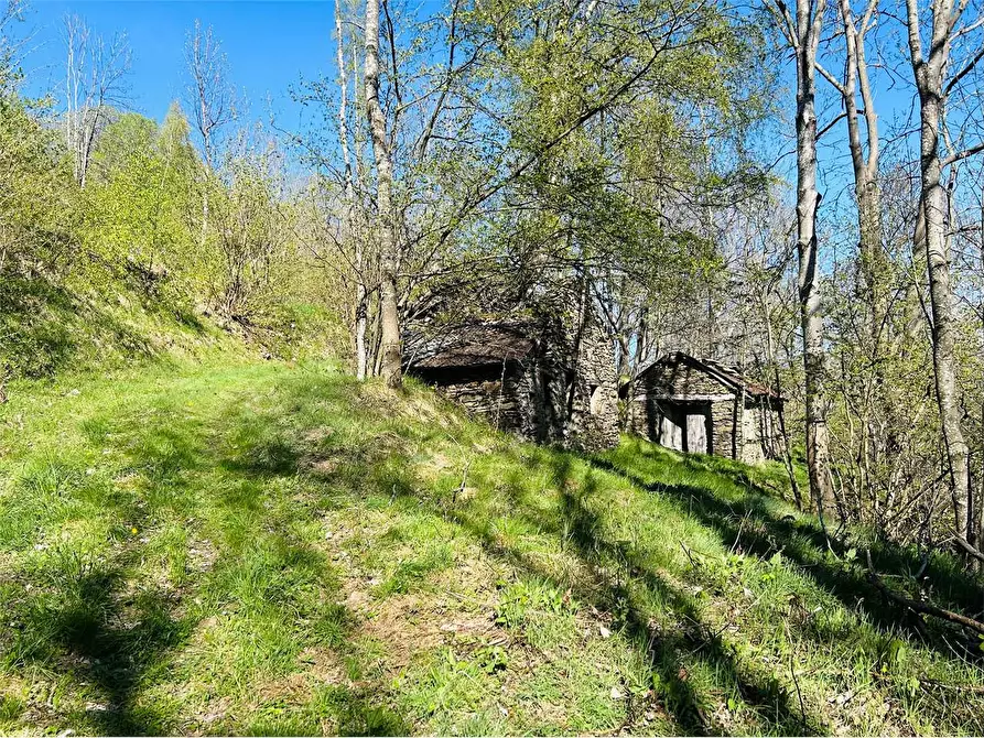 Immagine 3 di Casa indipendente in vendita  in Frazione Deversi a Garessio