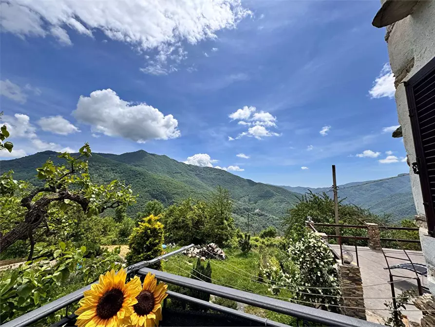 Immagine 3 di Casa indipendente in vendita  in Piazza Dell'Assunta a Pieve Di Teco
