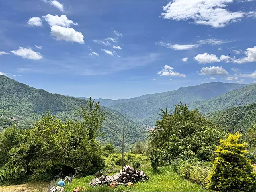 Immagine 4 di Casa indipendente in vendita  in Piazza Dell'Assunta a Pieve Di Teco