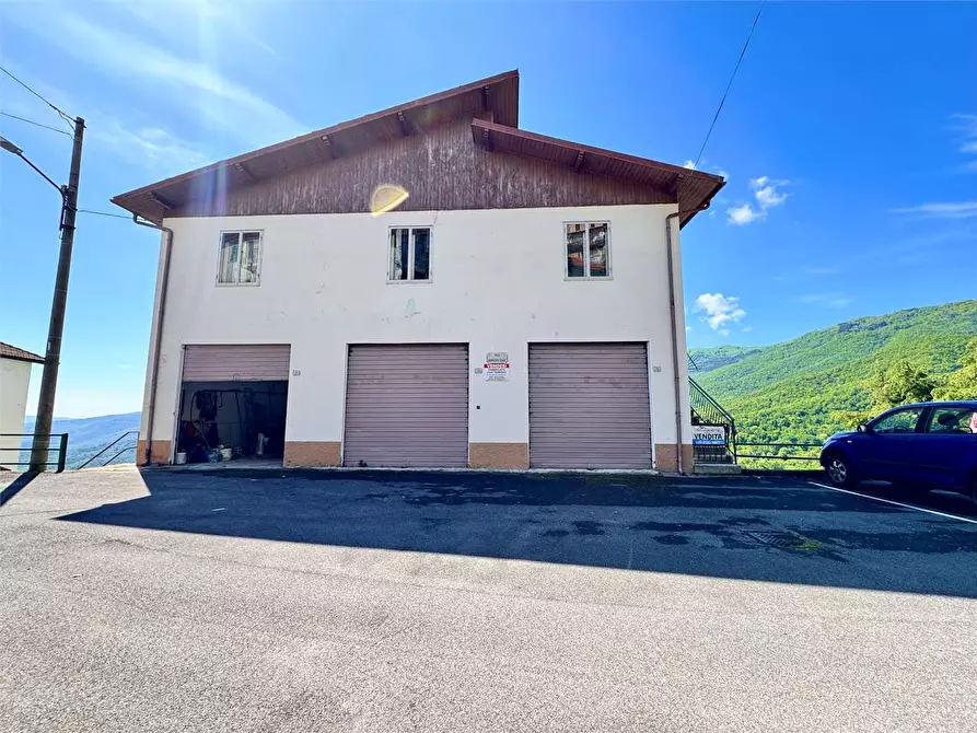 Immagine 28 di Casa indipendente in vendita  in Strada Provinciale 25 1 a Borgomaro