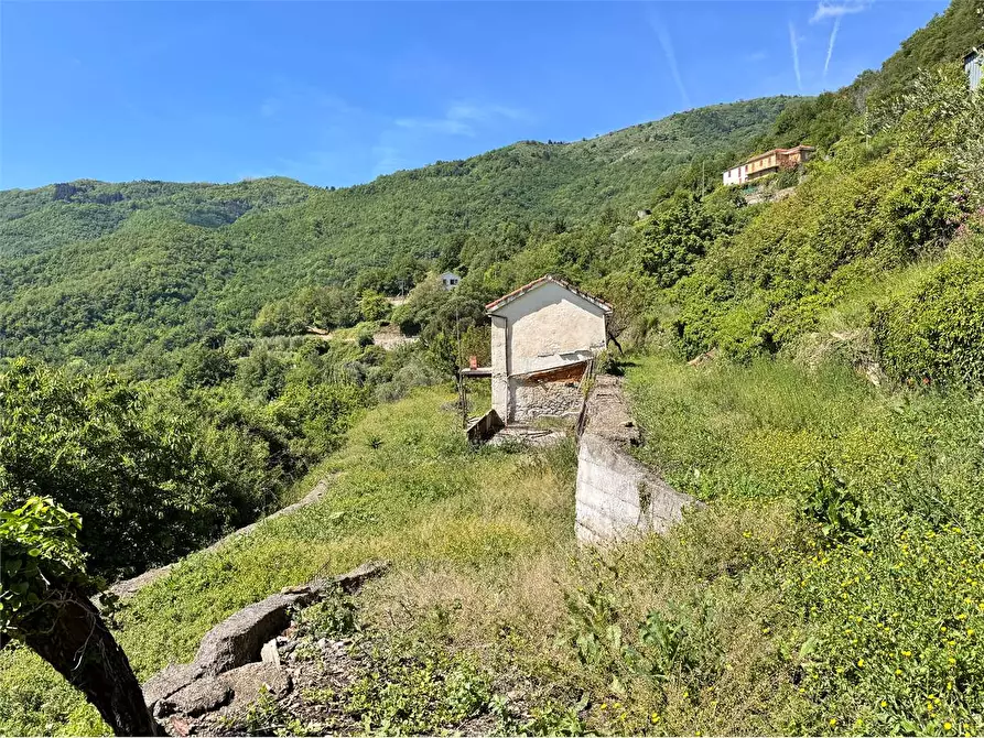 Immagine 38 di Casa indipendente in vendita  in Strada Provinciale 25 1 a Borgomaro