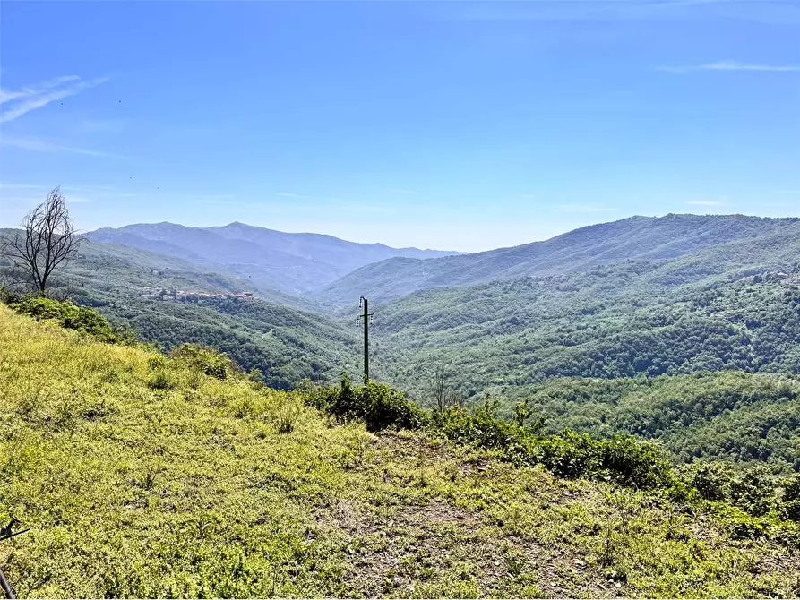 Immagine 40 di Casa indipendente in vendita  in Strada Provinciale 25 1 a Borgomaro