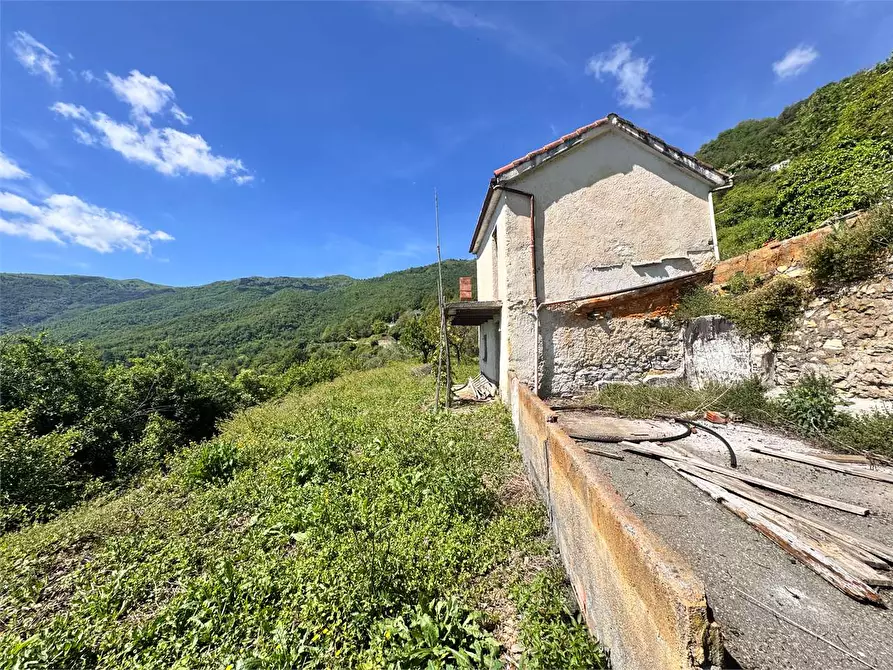 Immagine 39 di Casa indipendente in vendita  in Strada Provinciale 25 1 a Borgomaro