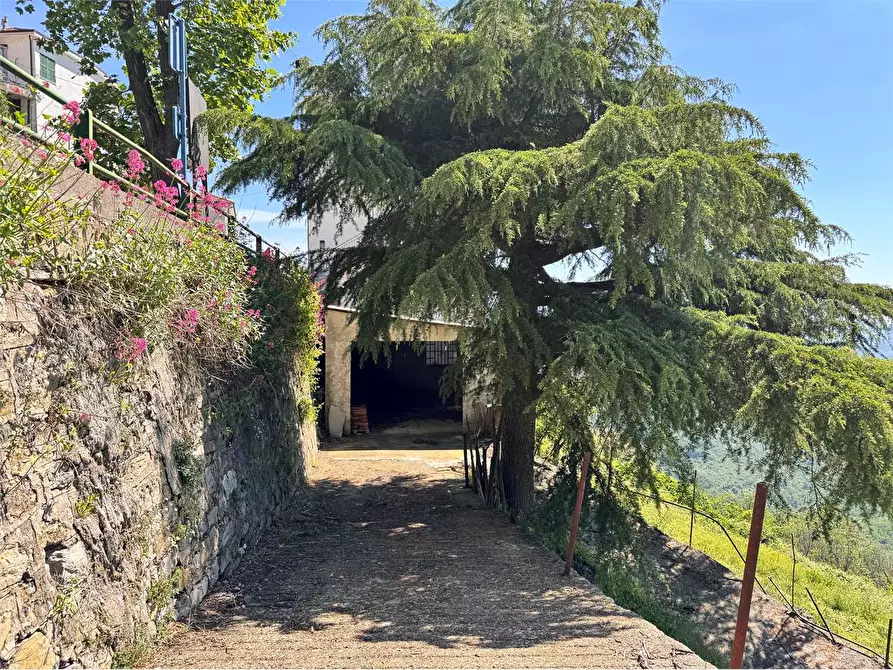 Immagine 35 di Casa indipendente in vendita  in Strada Provinciale 25 1 a Borgomaro