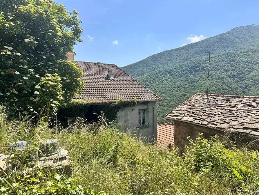 casa indipendente in vendita a Rezzo