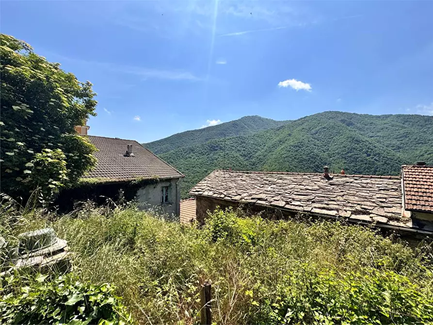 Immagine 17 di Rustico / casale in vendita  in Via Cavour  a Rezzo