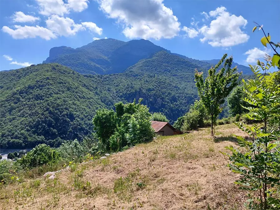 Immagine 23 di Rustico / casale in vendita  in Via Castello s.n.c. a Ormea