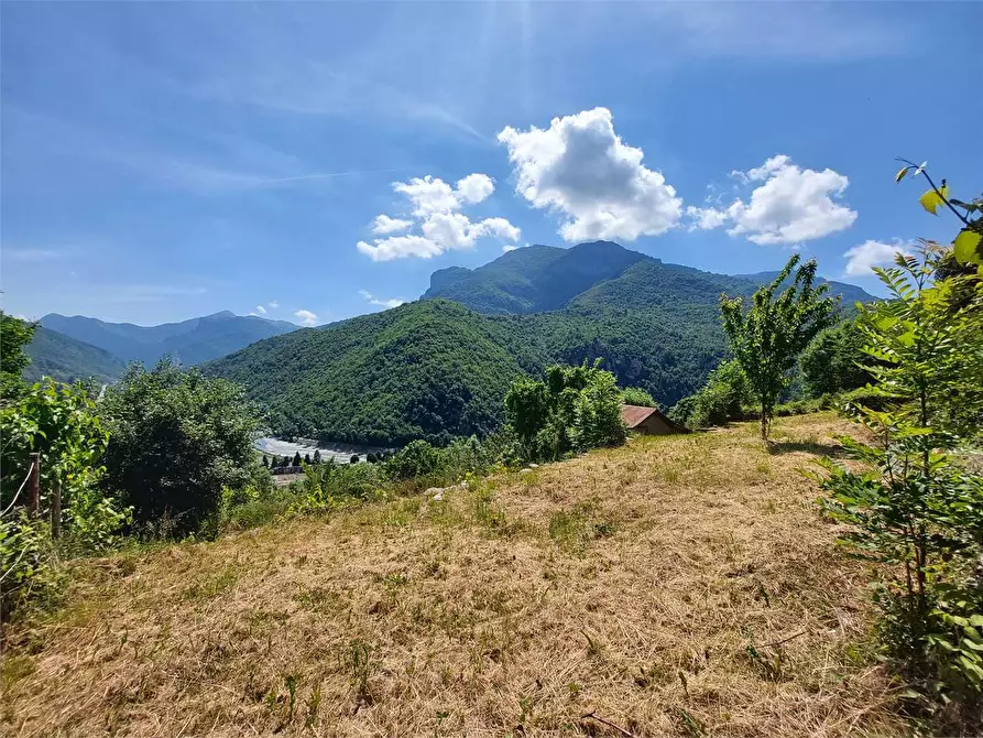 Immagine 26 di Rustico / casale in vendita  in Via Castello s.n.c. a Ormea