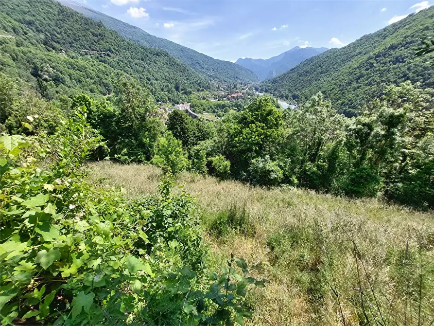 Immagine 44 di Rustico / casale in vendita  in Via Castello s.n.c. a Ormea