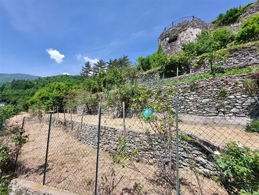 terreno agricolo in vendita ad Ormea