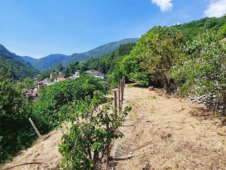 Immagine 1 di Rustico / casale in vendita  in Via Castello a Ormea