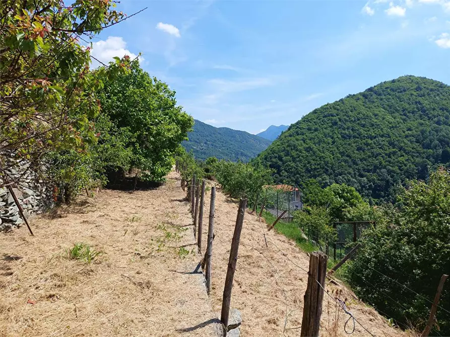 Immagine 6 di Rustico / casale in vendita  in Via Castello a Ormea