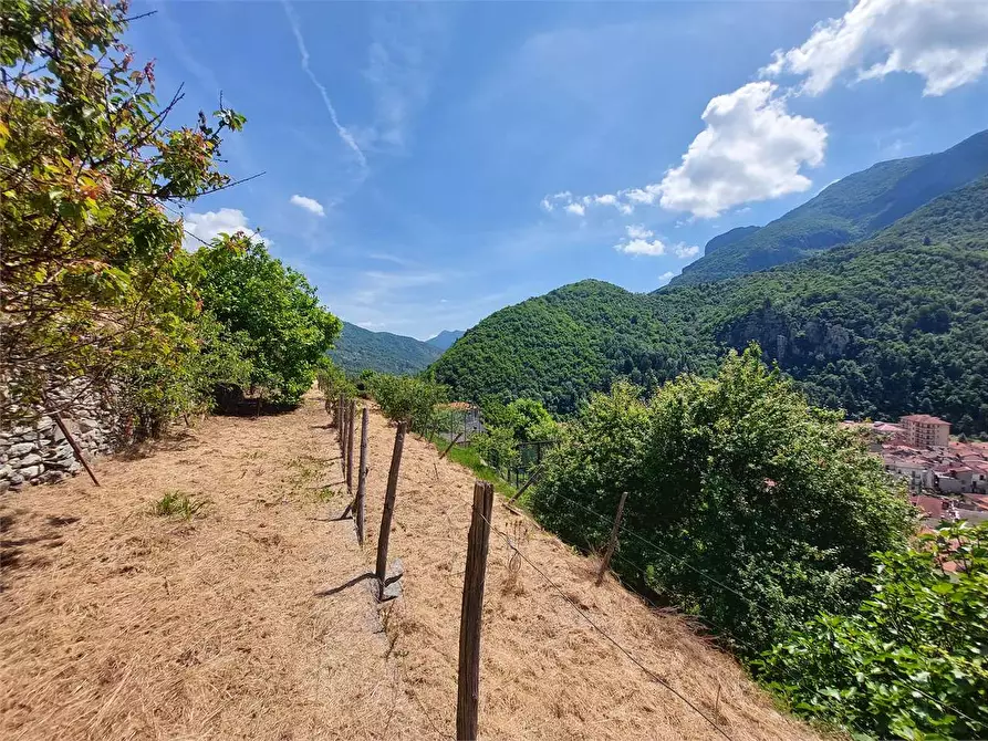 Immagine 7 di Rustico / casale in vendita  in Via Castello a Ormea