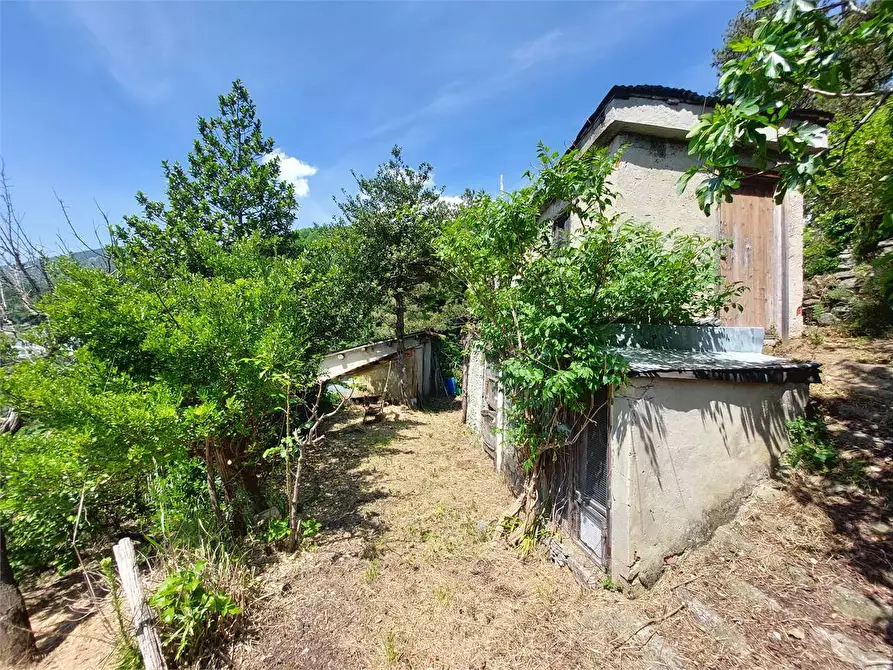 Immagine 3 di Rustico / casale in vendita  in Via Castello a Ormea