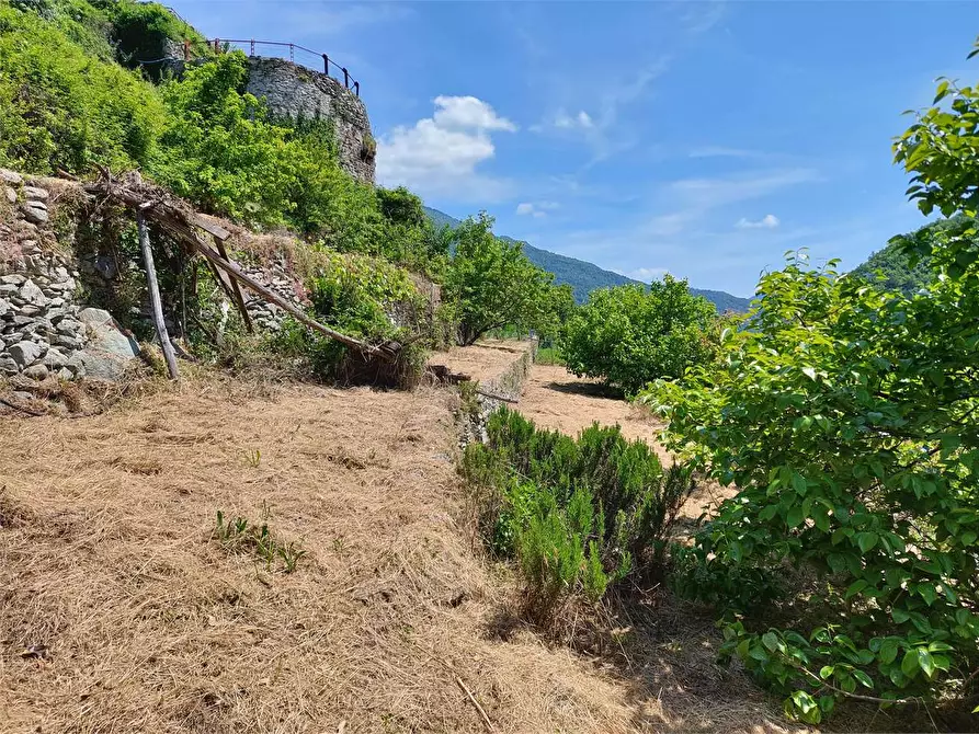 Immagine 27 di Rustico / casale in vendita  in Via Castello a Ormea