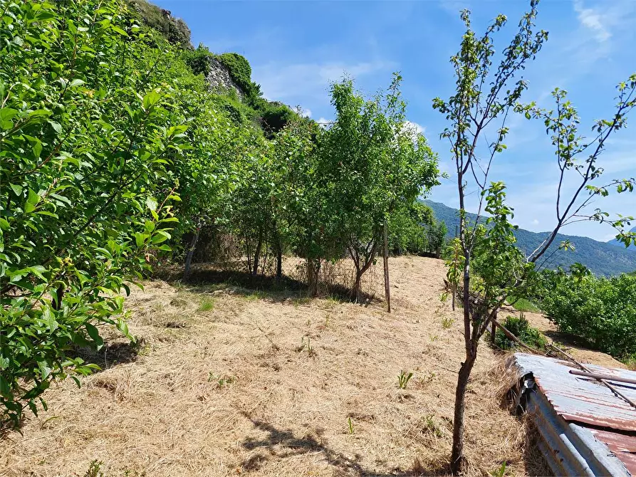 Immagine 29 di Rustico / casale in vendita  in Via Castello a Ormea