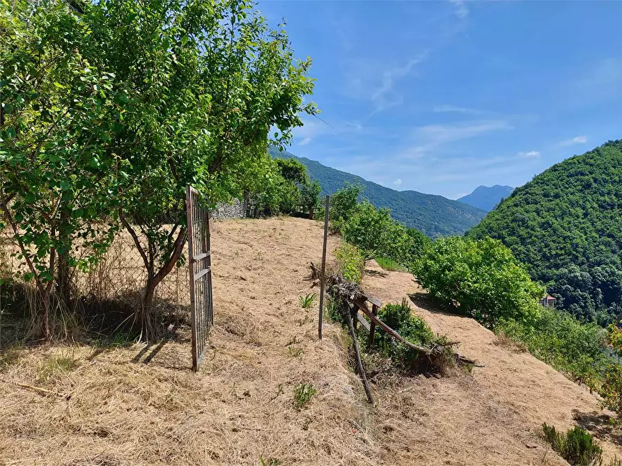 Immagine 30 di Rustico / casale in vendita  in Via Castello a Ormea
