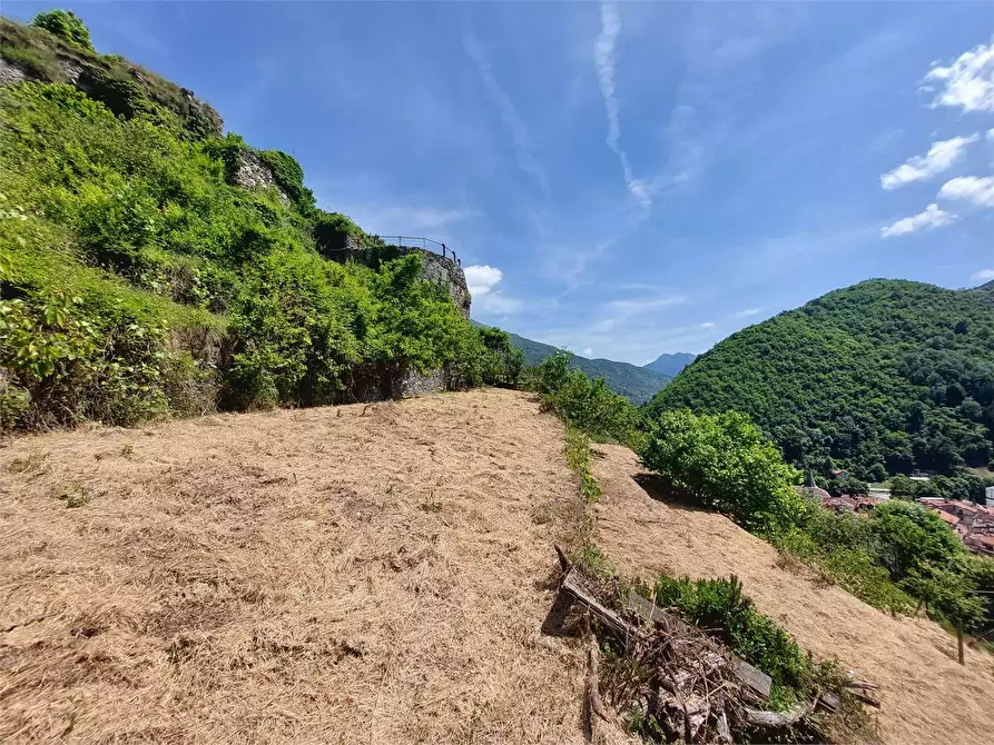Immagine 32 di Rustico / casale in vendita  in Via Castello a Ormea