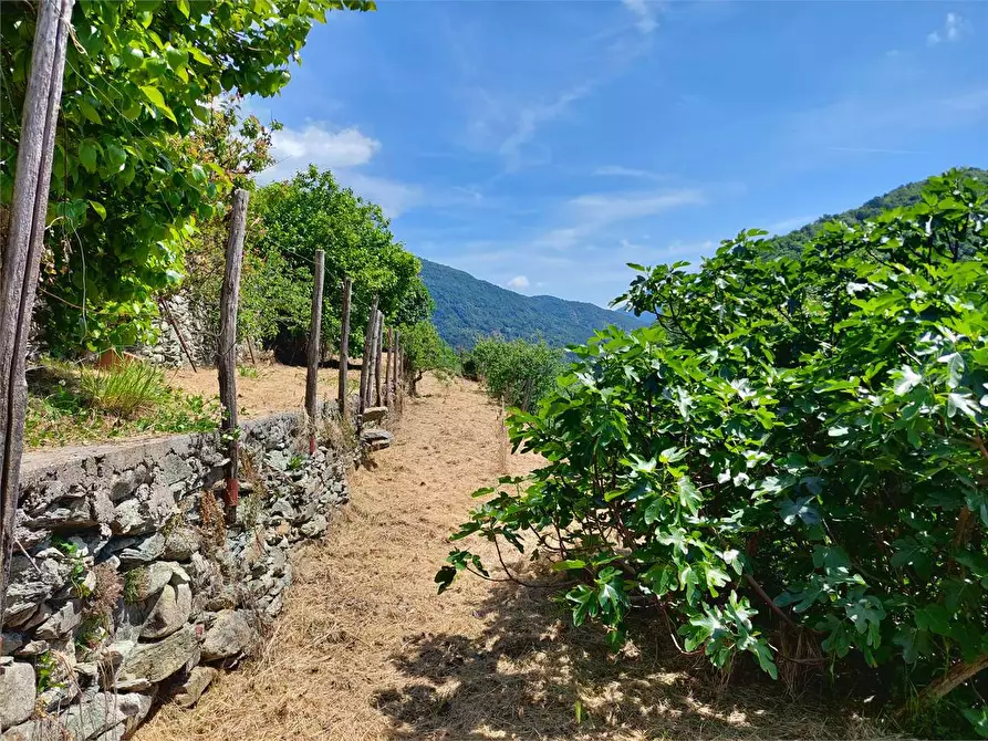 Immagine 34 di Rustico / casale in vendita  in Via Castello a Ormea