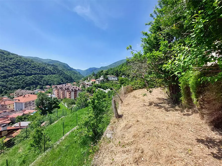 Immagine 35 di Rustico / casale in vendita  in Via Castello a Ormea